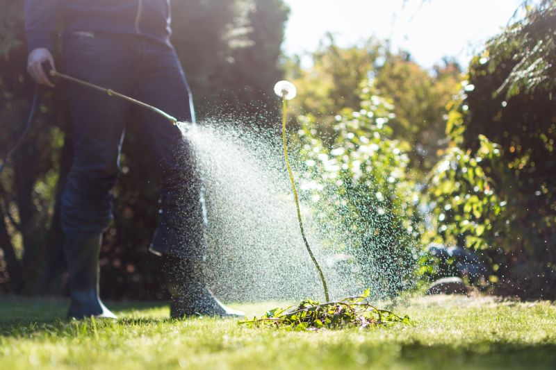 Lawn and Pond Management